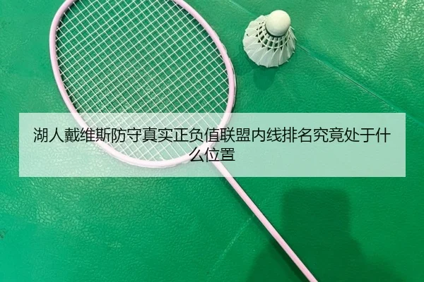 湖人戴维斯防守真实正负值联盟内线排名究竟处于什么位置