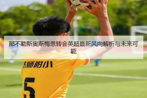 那不勒斯奥斯梅恩转会英超最新风向解析与未来可能