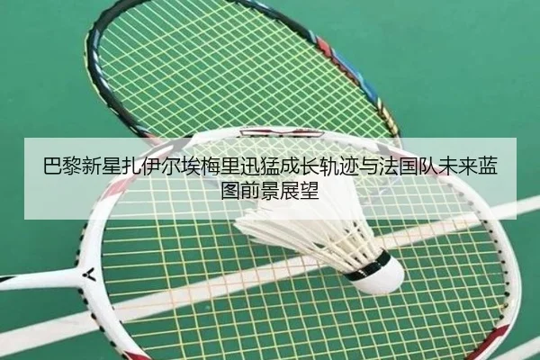 巴黎新星扎伊尔埃梅里迅猛成长轨迹与法国队未来蓝图前景展望